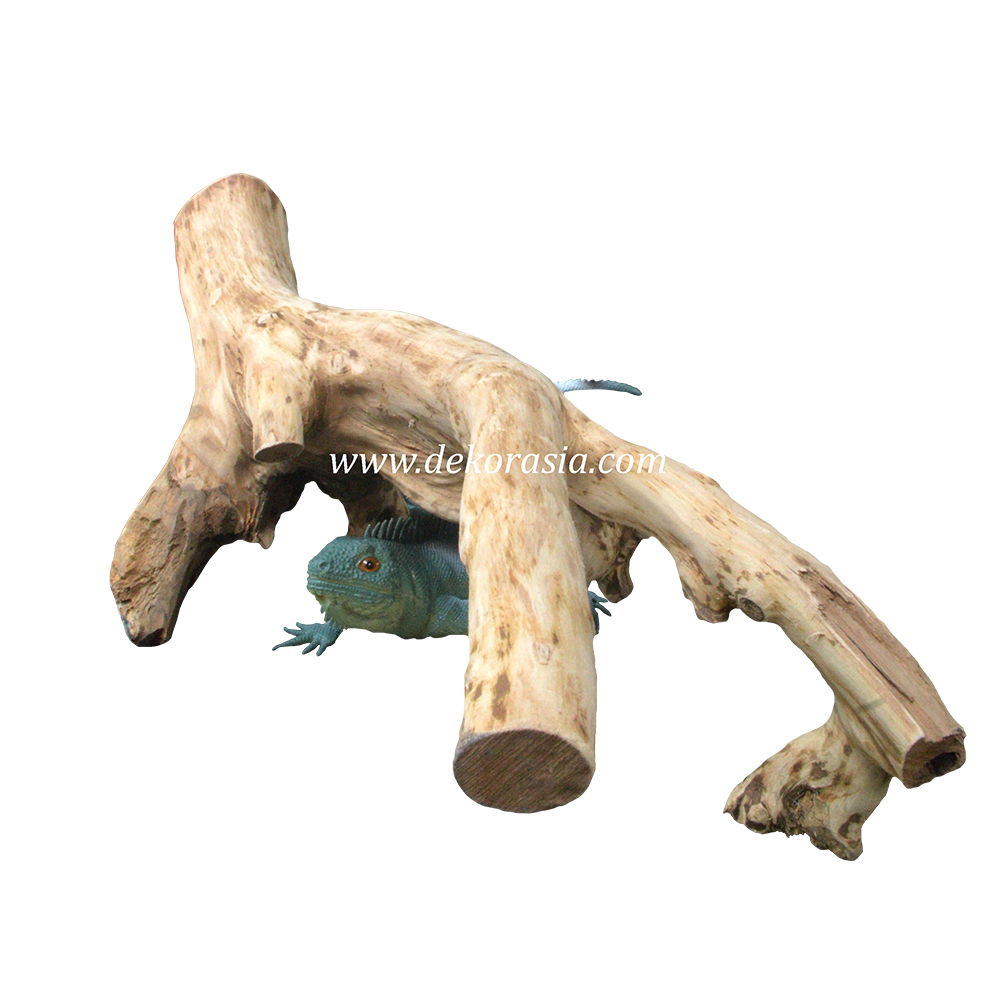Tea Wood Unique Shape, Java Wood for Cage, Home Decoration